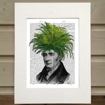 Plant head fern, Book art print
