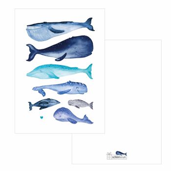 Carte postale, baleines heureuses avec coeur, bleu, A6, avec enveloppe, VE 6 2