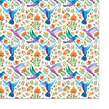 Papier cadeau, colibris au paradis, coloré, feuille 50 x 70 cm, UE 10 2