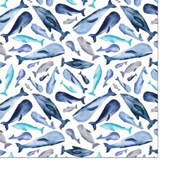 Papier cadeau, Happy Whales, bleu, feuille 50 x 70 cm, UE 10 2