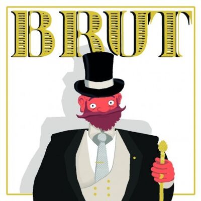 Brut-IPA 33cl