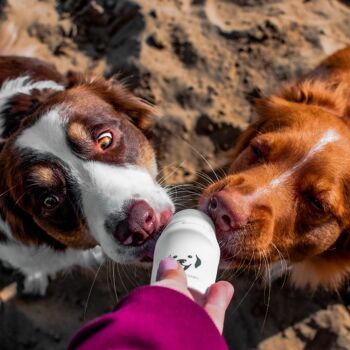 Doggyroller Turquoise - Lécher calme les chiens - Pour friandises liquides 7