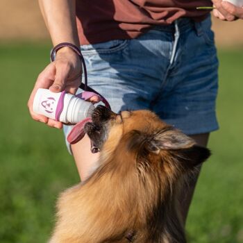 Rouleau pour chien avec support mousqueton et cordon violet - distributeur de récompenses et rouleau de friandises pour animaux de compagnie 4