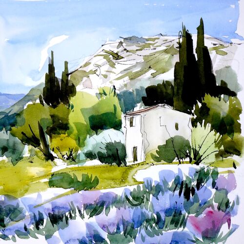 Provence Alpilles 2 - CC61