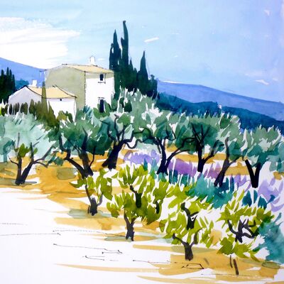 Provence mas Provençal - CC80