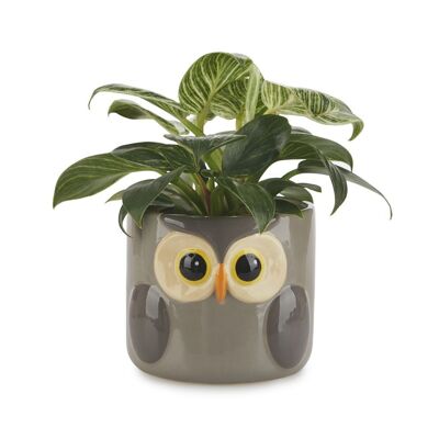 Pot de fleurs -OWL POT