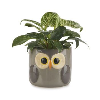 Pot de fleurs -OWL POT 1