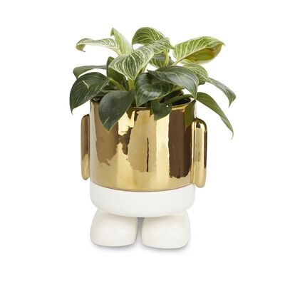 Pot de fleurs -Topf Standy Gold