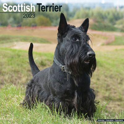 Calendar 2023 Scottish terrier