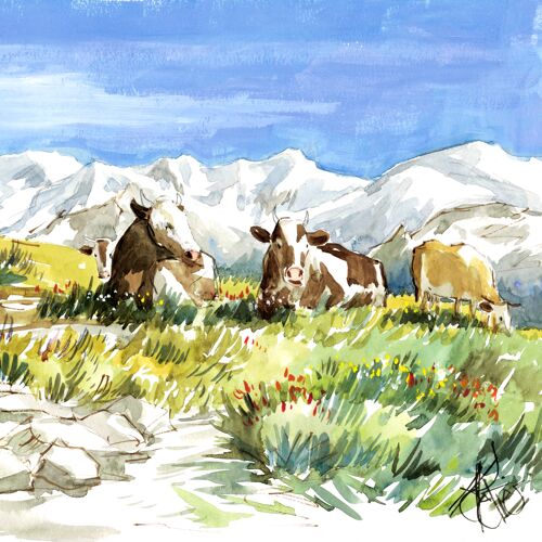 Montagne Vaches alpines - CC109
