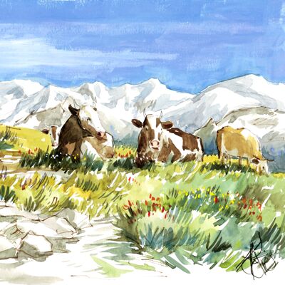 Mucche alpine di montagna - CC109