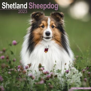 Calendrier 2023 Shetland 1