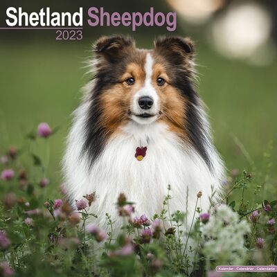 Calendario 2023 Shetland