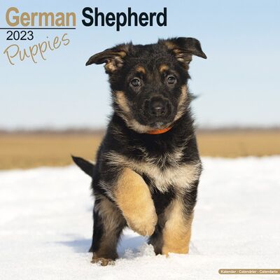 Calendar 2023 German Shepherd Puppy