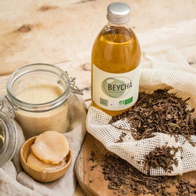 BeÿCha Kombucha Grüntee Hojicha 33cl*12