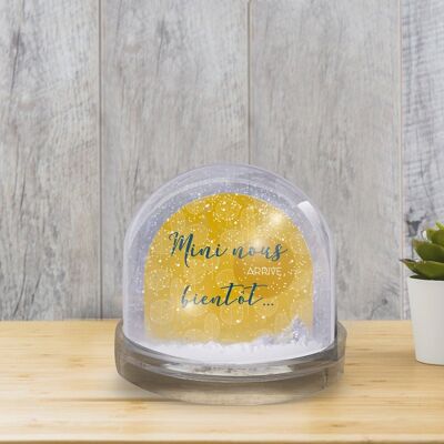 Snow Globe - Mini Coming Soon - Mustard
