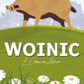 Woinic 3