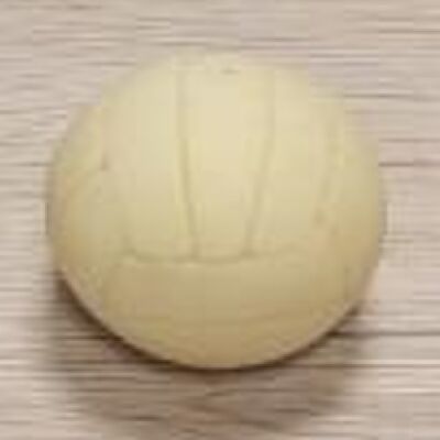 VOLLEY-BALL