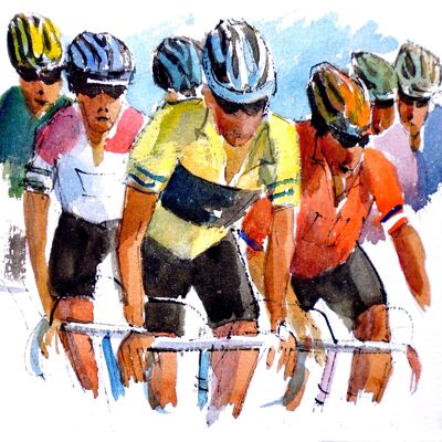 Tour de France in montagna - CC133