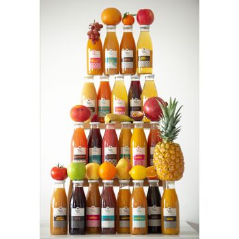 Pack découverte Jus et Nectars 75cl 3