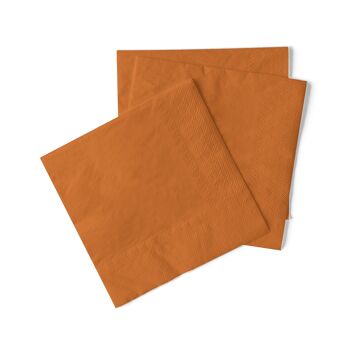 Serviette jetable en terre cuite en tissu 33 x 33 cm, 3 plis, 20 pièces 2