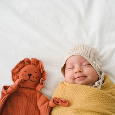 Doudou BIO per neonati: LEONE