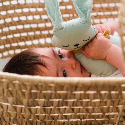 BIO Rattle Doll for baby RABBIT