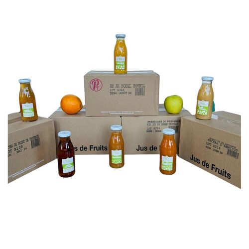 Pack Découverte Jus et Nectars 25cl