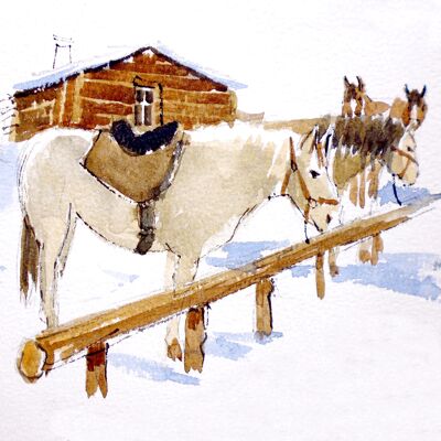 Cavalli di montagna a riposo - CC141