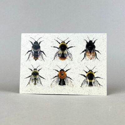 Postcard card Grass paper bumblebees
