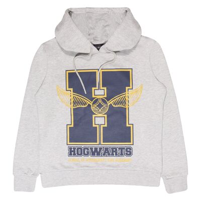 Harry Potter Glitter School Emblem Adults Pullover Hoodie