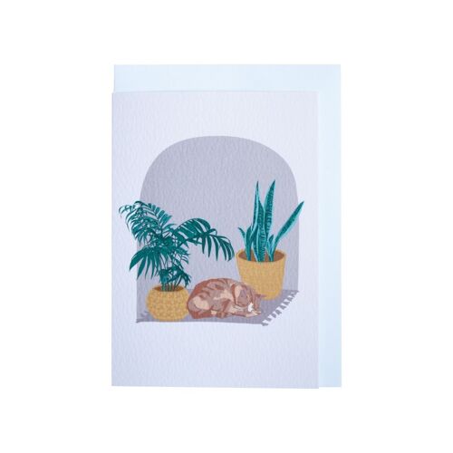 Cat & House Plant Greeting Card (Pack of 6)