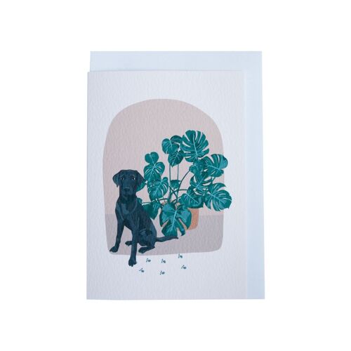 Dog & Monstera Greeting Card (Pack of 6)
