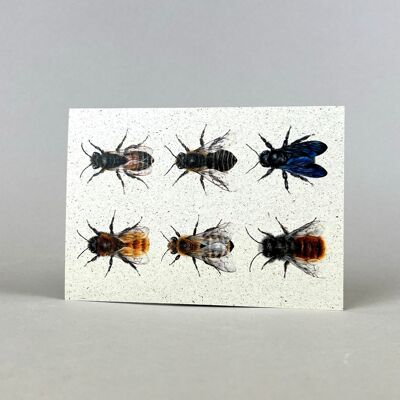 Postcard Card Grass Paper Wild Bees