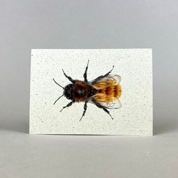 carte postale carte herbe papier sauvage abeille