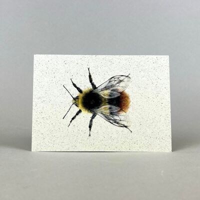 Postcard Card Grass Paper Bumblebee