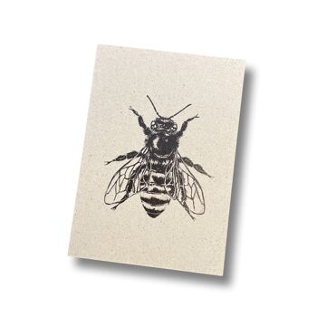 Carte postale herbe papier abeille (noir)