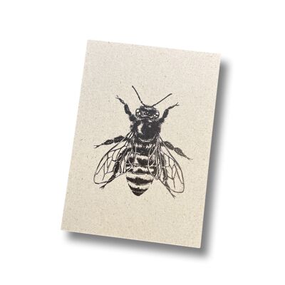 Postcard card grass paper bee (black)