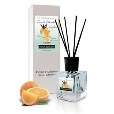 Diffusore atmosfera cocktail 200 ml - PUNCH PLANTEUR (200 ml)