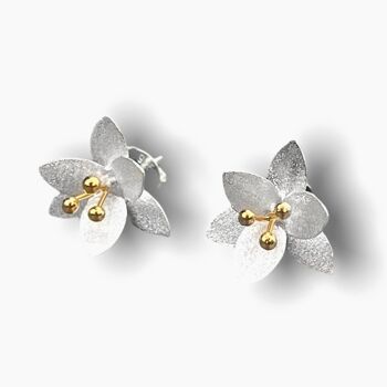 Boucles d'oreilles Blossom Stud - Argent 925 - OHR925-33 5