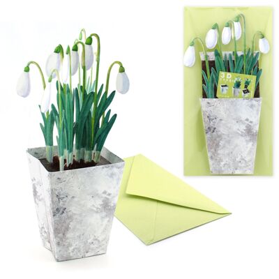 3D greeting card snowdrop