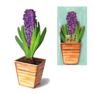 3D greeting card hyacinth