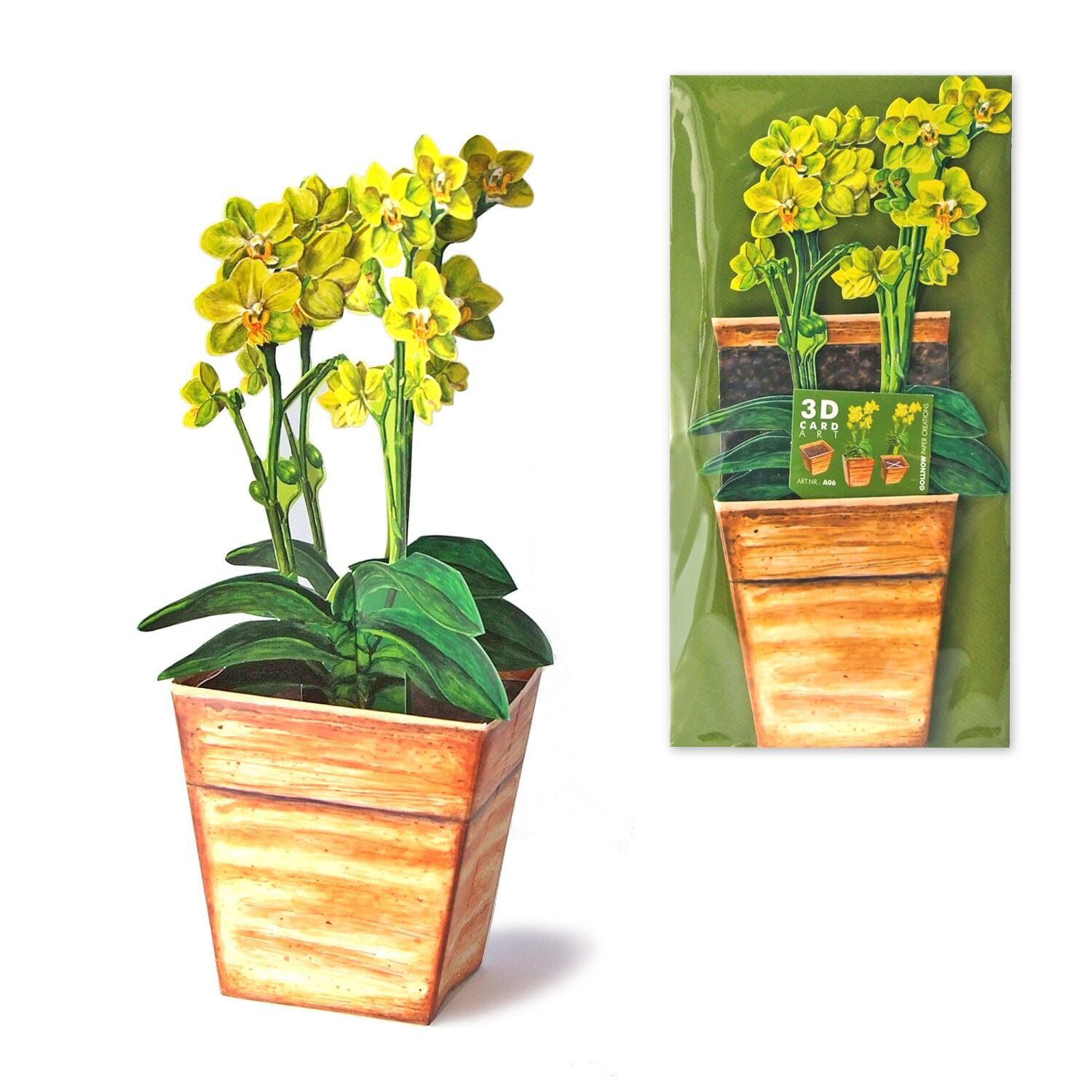 Orquídea de la tarjeta de felicitación 3D