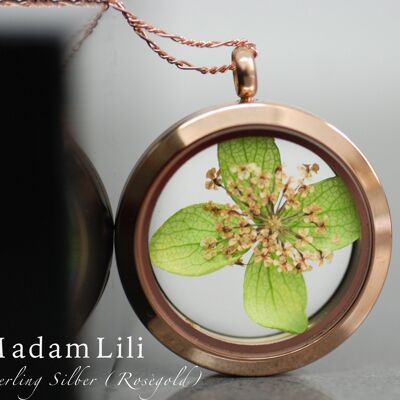 Dill Flower Real Leaf Locket Necklace - 925 Sterling Rose Gold Plated Necklace - K925-66