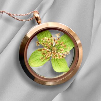 Collier médaillon feuille véritable fleur d'aneth - Collier plaqué or rose 925 - K925-66 2