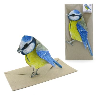 Carte des animaux en 3D mésange bleue