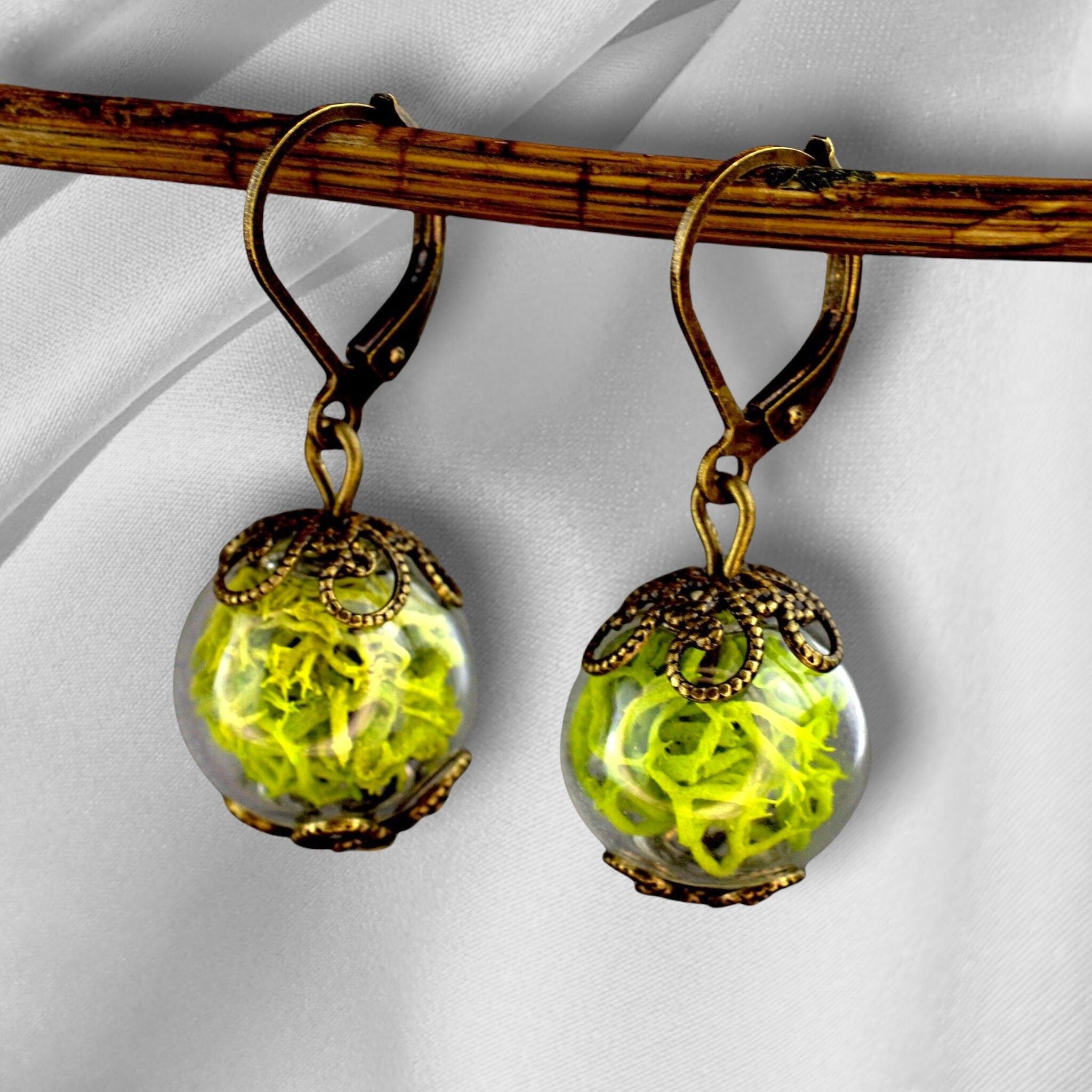 Orecchini di vero muschio - orecchini di piante di muschio di renna verde - VINOHR-17