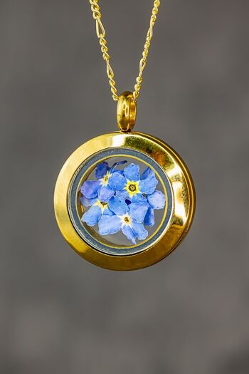 Médaillon Myosotis - Pendentif en Verre Véritables Fleurs Chaîne en Plaqué Or Sterling 925 - K925-70 6