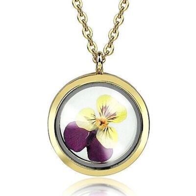 Collana con ciondolo a forma di medaglione d'oro del pensiero del pensiero - Collana con fiori veri di piante floreali di botanica placcata in oro - VIK-71