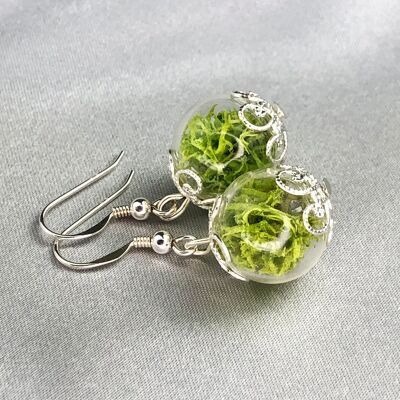 Real Moss Earrings - 925 Sterling Silver Jewelry - Botanical Terrarium Dangle Earrings - OHR925-10